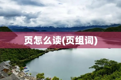 页怎么读(页组词)
