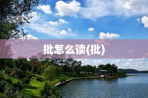 批怎么读(批)