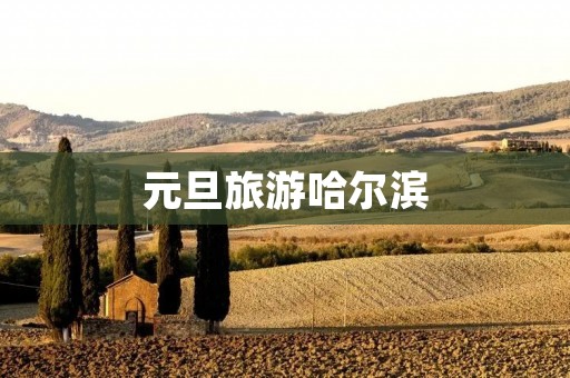 元旦旅游哈尔滨