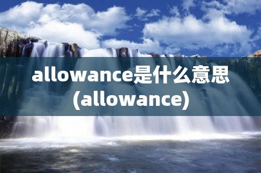 allowance是什么意思(allowance)