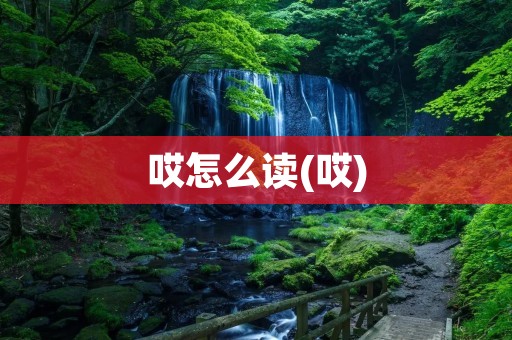 哎怎么读(哎)