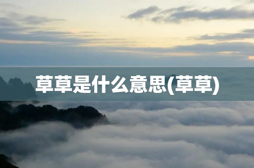 草草是什么意思(草草)