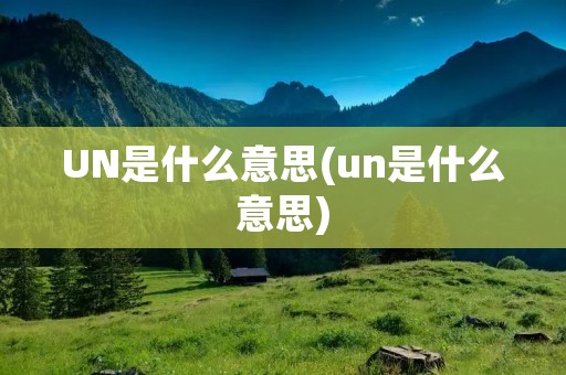 UN是什么意思(un是什么意思)