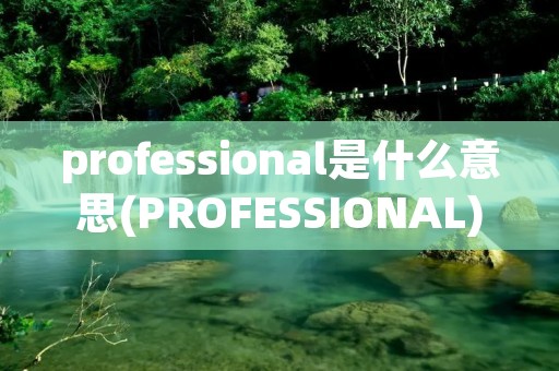 professional是什么意思(PROFESSIONAL)