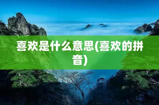 喜欢是什么意思(喜欢的拼音)
