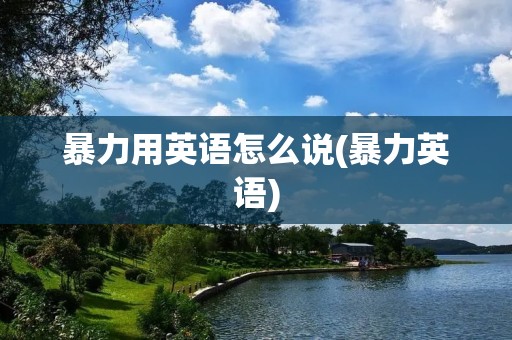 暴力用英语怎么说(暴力英语)