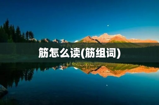 筋怎么读(筋组词)