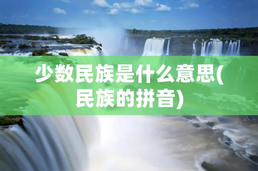 少数民族是什么意思(民族的拼音)