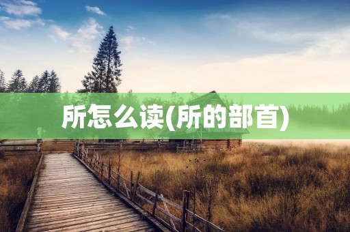 所怎么读(所的部首)