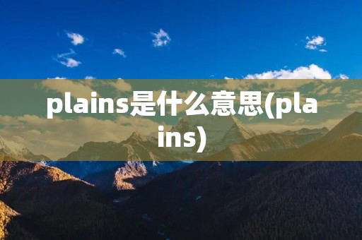 plains是什么意思(plains)