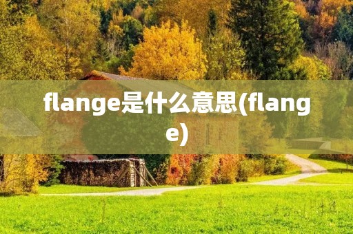 flange是什么意思(flange)