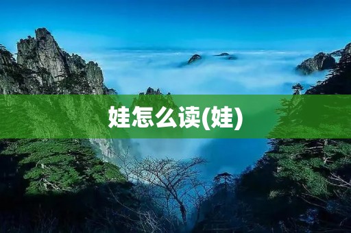娃怎么读(娃)