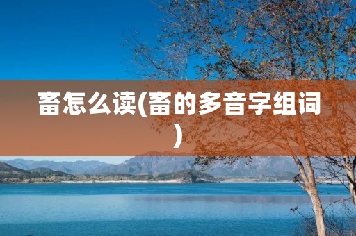 畜怎么读(畜的多音字组词)
