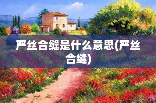 严丝合缝是什么意思(严丝合缝)
