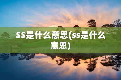 SS是什么意思(ss是什么意思)