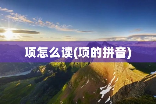 项怎么读(项的拼音)