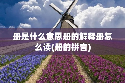 册是什么意思册的解释册怎么读(册的拼音)