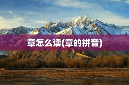 章怎么读(章的拼音)