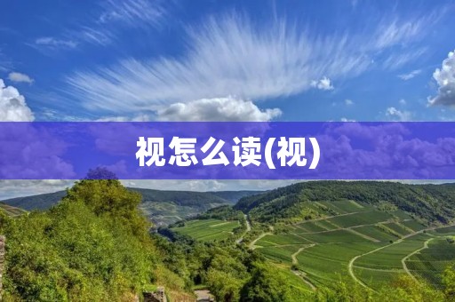 视怎么读(视) 视怎么读(视)