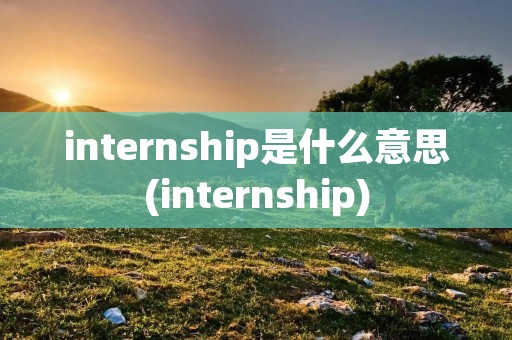 internship是什么意思(internship)