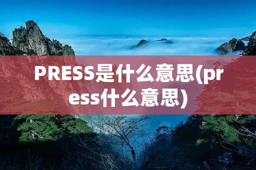 PRESS是什么意思(press什么意思)