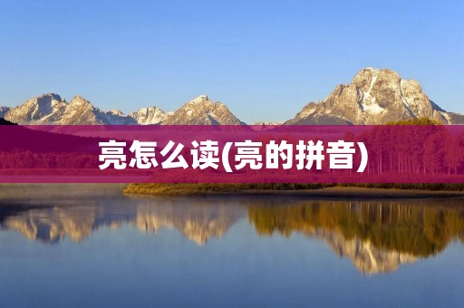 亮怎么读(亮的拼音)
