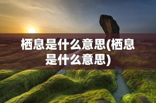 栖息是什么意思(栖息是什么意思)