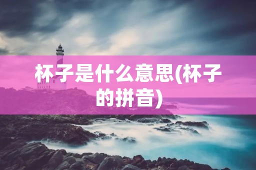 杯子是什么意思(杯子的拼音)