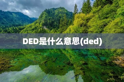 DED是什么意思(ded)