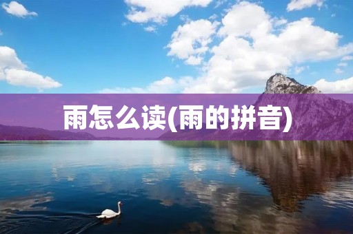 雨怎么读(雨的拼音)