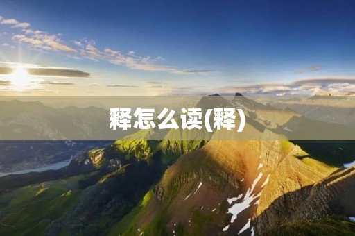 释怎么读(释)
