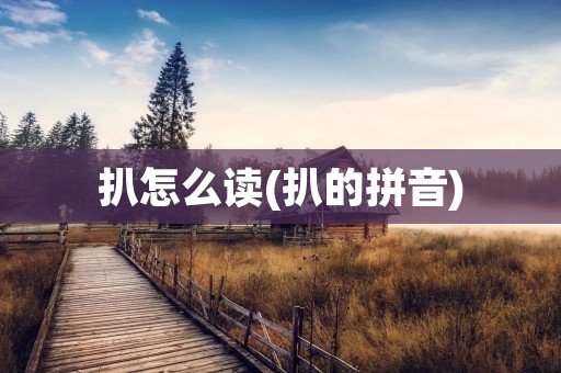 扒怎么读(扒的拼音)
