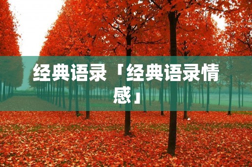 经典语录「经典语录情感」