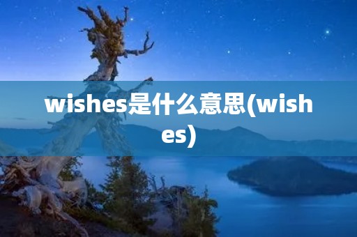 wishes是什么意思(wishes)