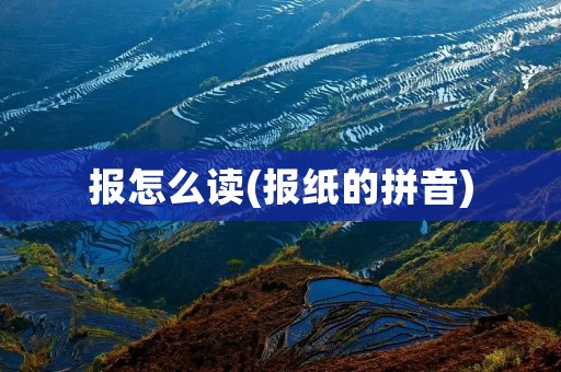 报怎么读(报纸的拼音)