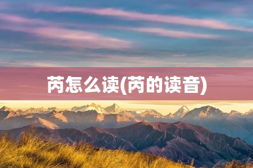 芮怎么读(芮的读音)