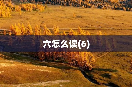 六怎么读(6) 六怎么读(6)