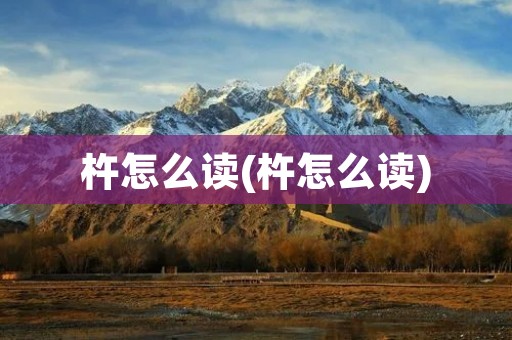 杵怎么读(杵怎么读)