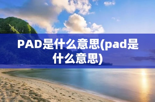 PAD是什么意思(pad是什么意思)