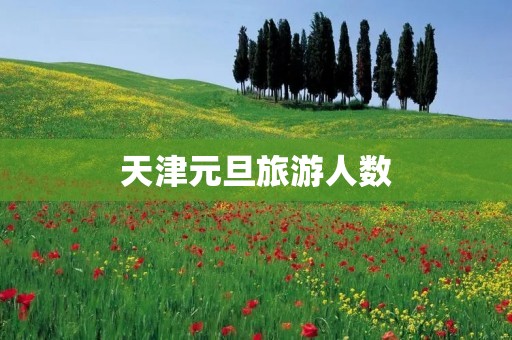 天津元旦旅游人数
