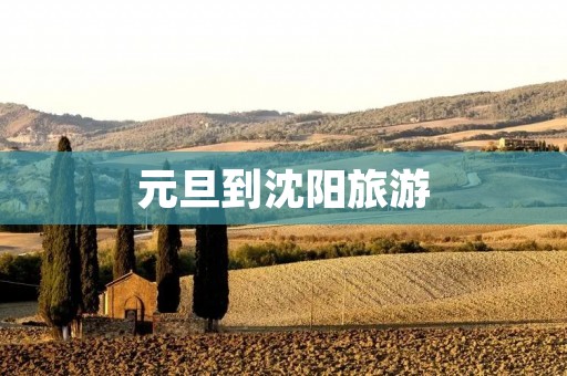 元旦到沈阳旅游