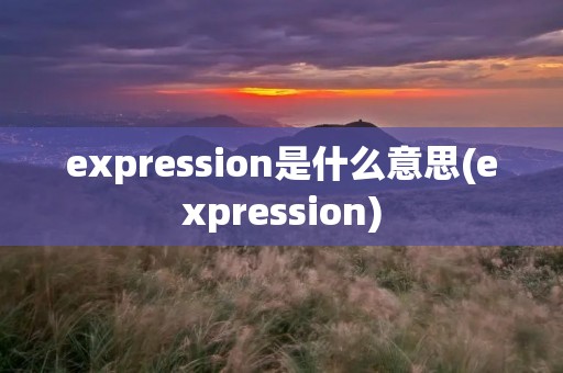 expression是什么意思(expression) expression是什么意思(expression)