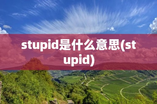 stupid是什么意思(stupid) stupid是什么意思(stupid)
