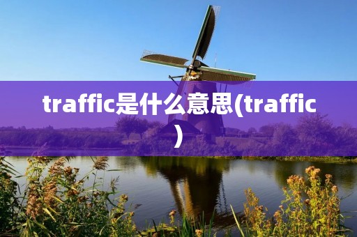 traffic是什么意思(traffic) traffic是什么意思(traffic)