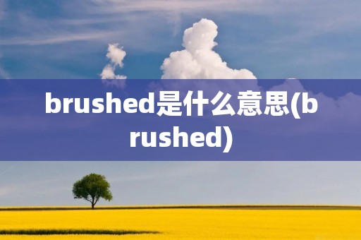 brushed是什么意思(brushed)