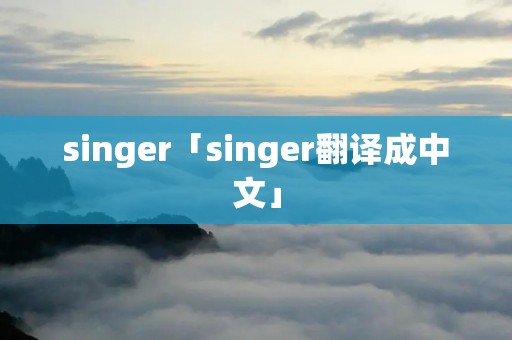 singer「singer翻译成中文」