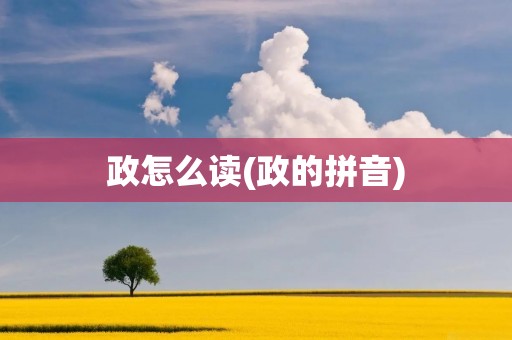 政怎么读(政的拼音)