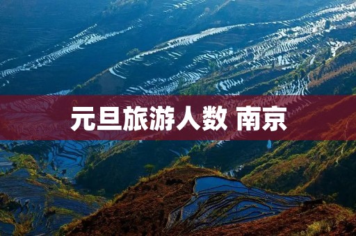 元旦旅游人数 南京