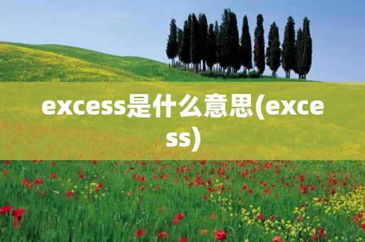 excess是什么意思(excess)