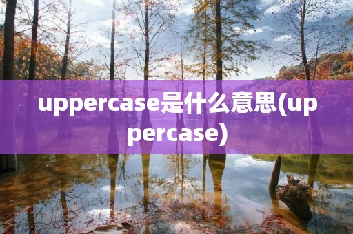 uppercase是什么意思(uppercase)
